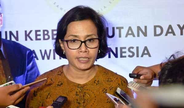 Menkeu Minta Pengusaha Sawit Manfaatkan Tax Amnesty