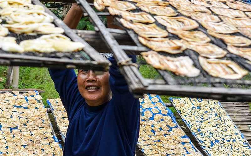 Mau Pajak UMKM Ditanggung Pemerintah? Sampaikan Laporan Realisasi Saja