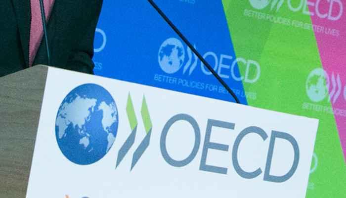 OECD Berikan Rekomendasi PPN Digital Bagi Amerika Latin