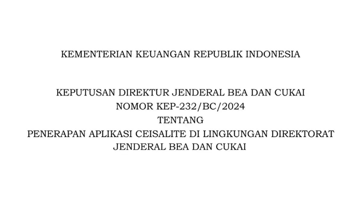 Bea Cukai Rilis Aplikasi CEISALite, Antisipasi Ada Gangguan Sistem TIK