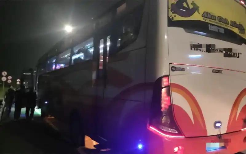 Cegat Bus Antarkota di Pintu Tol, DJBC Amankan 30 Koli Rokok Ilegal