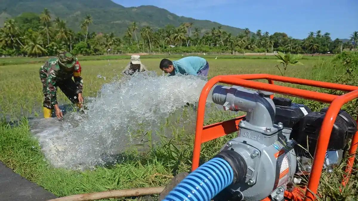 Hadapi El Nino, Jokowi Pasang 20.000 Pompa di Daerah Produsen Beras