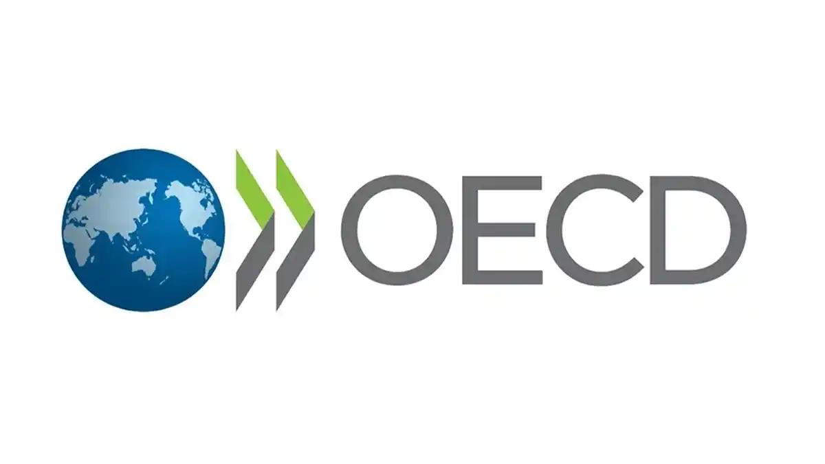 Indonesia Bakal Ditinjau Komite OECD, Termasuk Soal Kebijakan Fiskal