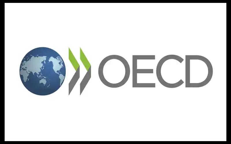 Indonesia Ingin Jadi Anggota OECD, DJP: Prosesnya Sudah On Track