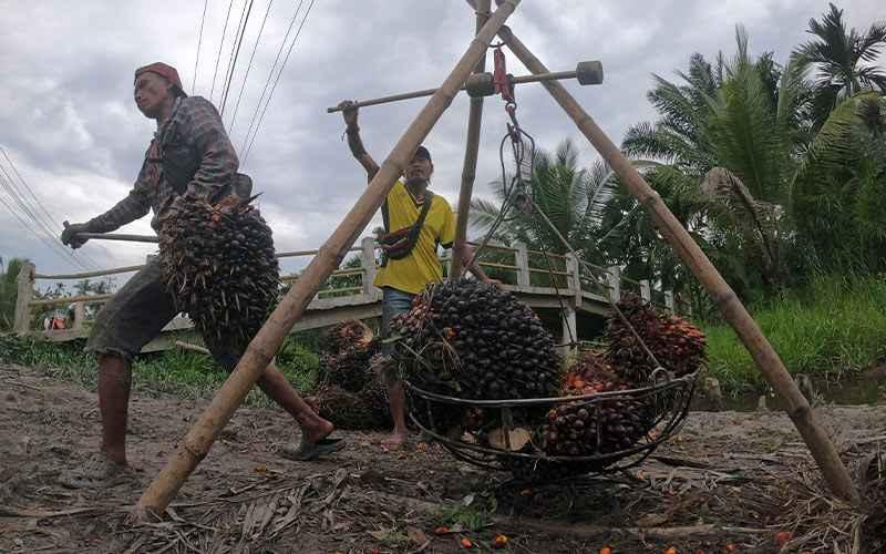 Lonjakan Harga Sawit Tak Terbendung, Belanja BPDPKS Bakal Direvisi