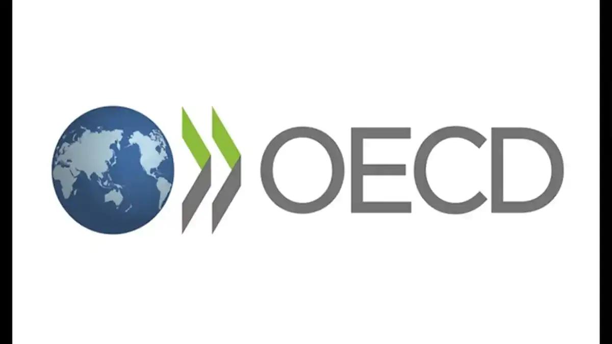 OECD Catat Banyak Negara Masih Pakai Thin Capitalization Rules