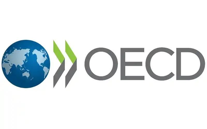 OECD Rilis Roadmap Aksesi, Ada 8 Prinsip Pajak yang Perlu Diadopsi RI