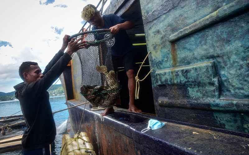 Perbaiki Layanan, Bea Cukai Yakin Produk Perikanan Maluku Rajai Pasar