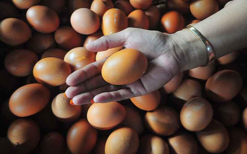 Telur Impor Kena Pajak, Picu Perang Dagang Dua Negara Ini