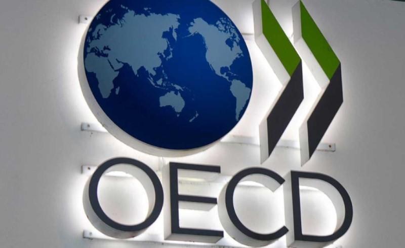 OECD Rilis Panduan Final Transfer Pricing Terkait HTVI