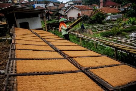 Begini Jurus DJBC Tekan Peredaran Rokok Ilegal di Era New Normal