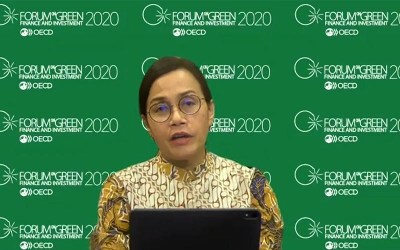 Dalam Forum OECD, Sri Mulyani Bicara Insentif Pajak untuk Energi Hijau