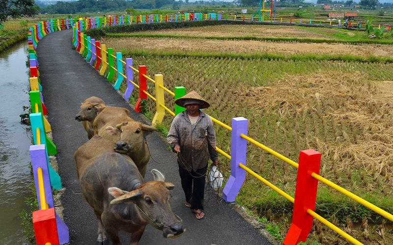 Kemenkeu Minta Kepala Desa Salurkan BLT Sebelum Hari Raya Idulfitri