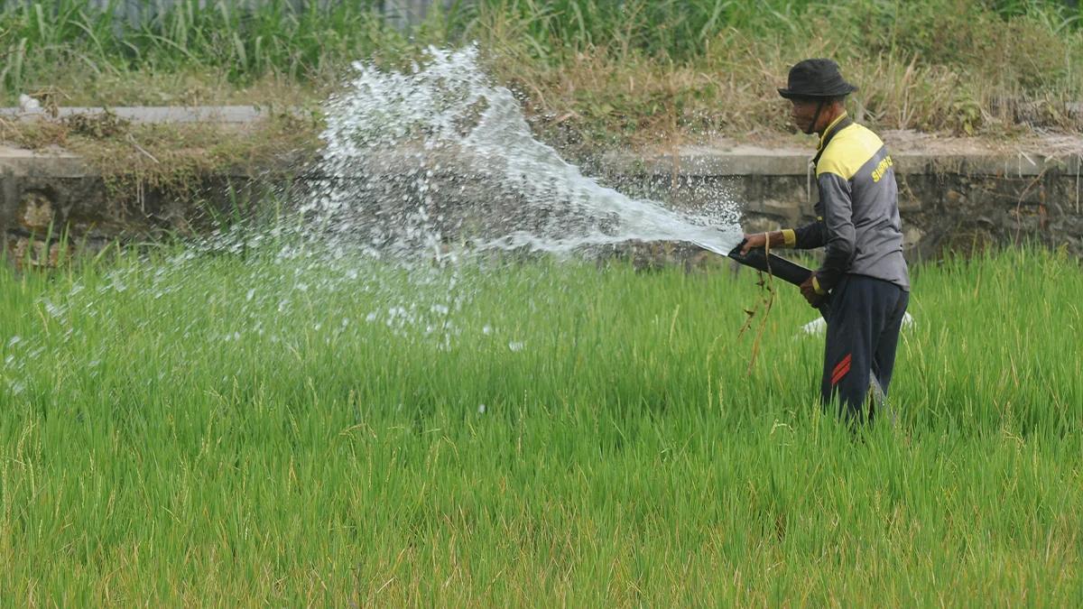 Bapenda Naikkan Beban PBB, Petani Bisa Ajukan Pengurangan Tarif