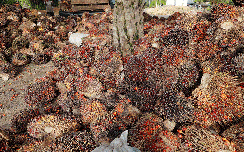 Harga Berangsur Turun, BPS Sebut Windfall Komoditas Segera Berakhir