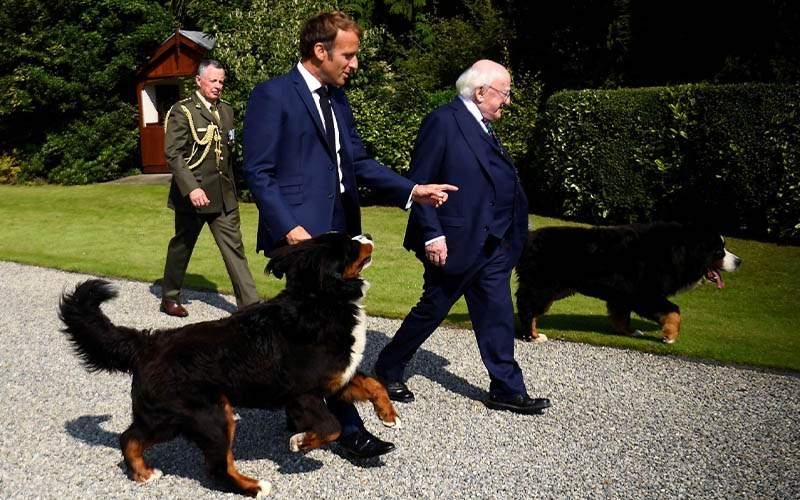 Macron Harap Irlandia Melunak Soal Konsensus Pajak Internasional