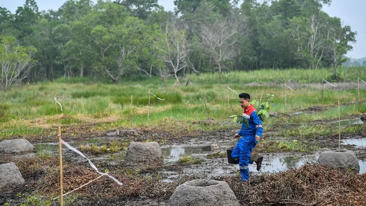 RI Susun Strategi Jaga Biodiversitas, Insentif Fiskal Bakal Diperbarui