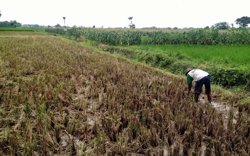 Bupati Soroti Laporan Keuangan Tiap Kampung