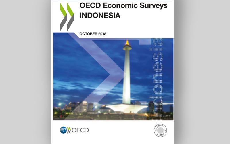 Ini Temuan dan Rekomendasi OECD untuk Indonesia