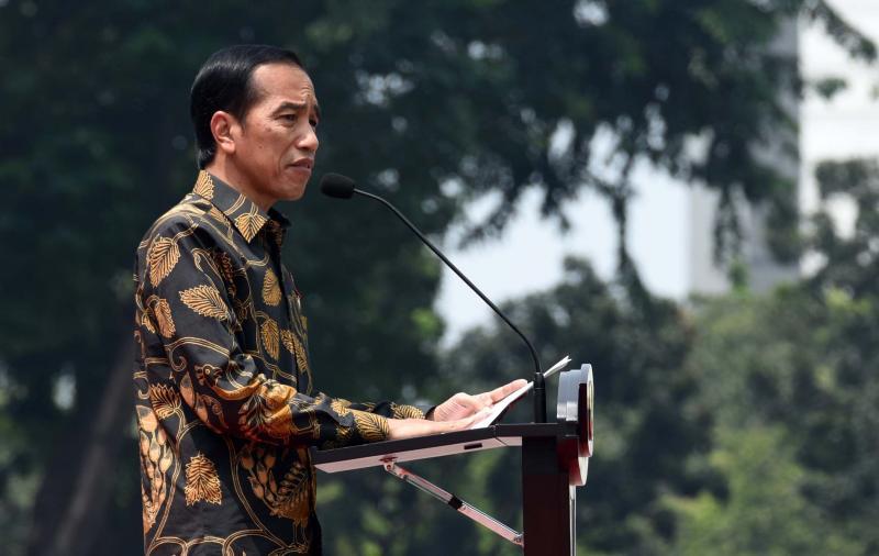 Pesawat Lion Jatuh, Begini Respons Presiden Jokowi