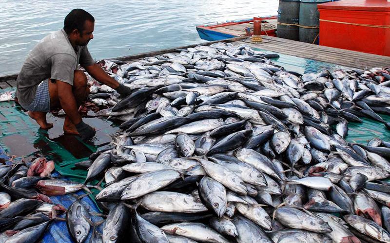 Penggunaan DHE SDA Diatur Ketat, Ini Rinciannya