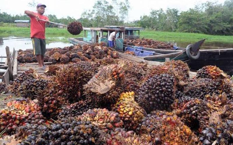 Duh, Eropa Bakal Kenakan Tarif Impor Biodiesel Indonesia Hingga 18% 