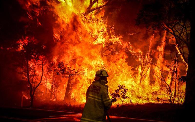 Australia Siapkan Hibah Dana Bebas Pajak Bagi UKM Terdampak Kebakaran