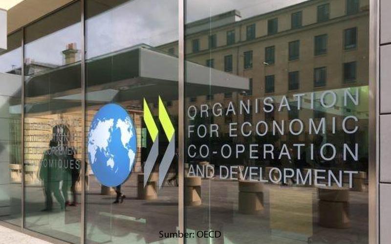 Simak Optimisme OECD Soal Konsensus Global Pajak Digital di Sini