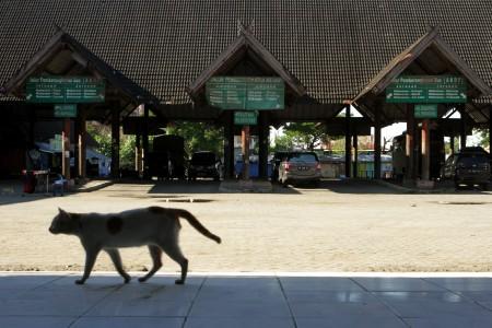 Pandemi Corona Hilangkan Penerimaan Pajak Rp3 Miliar per Hari