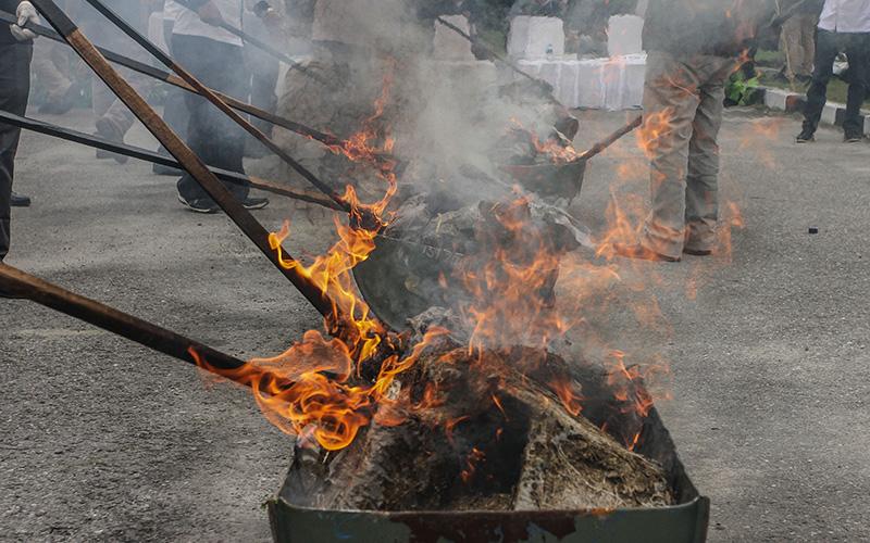 Ada Pejabat yang Terjerat Kasus Narkoba, Ini Langkah Ditjen Bea Cukai