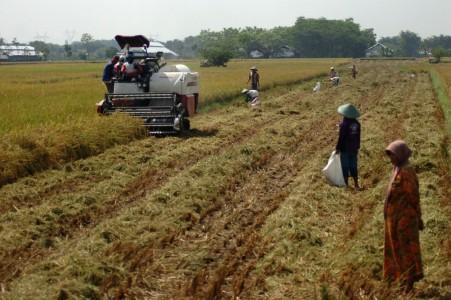 Gandeng BPN, Kabupaten Ini Rintis Big Data Pertanahan